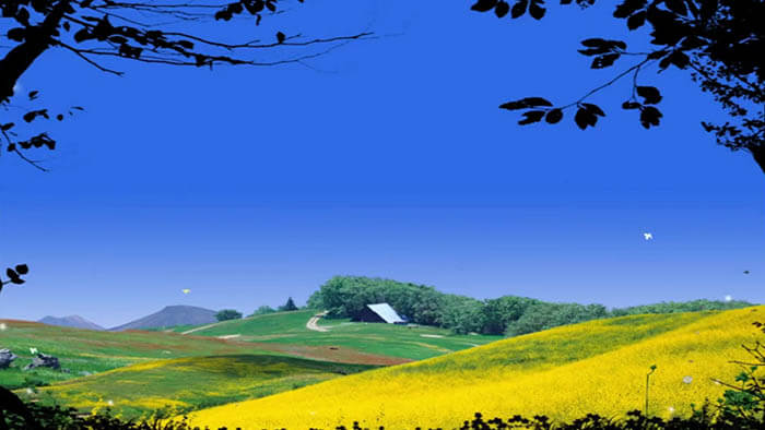 a european landscape with rolling hills forrests and flowery fields