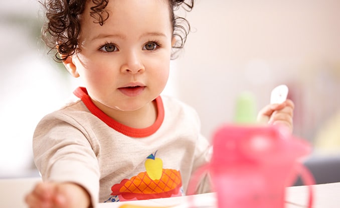 Toddler food – a balanced diet