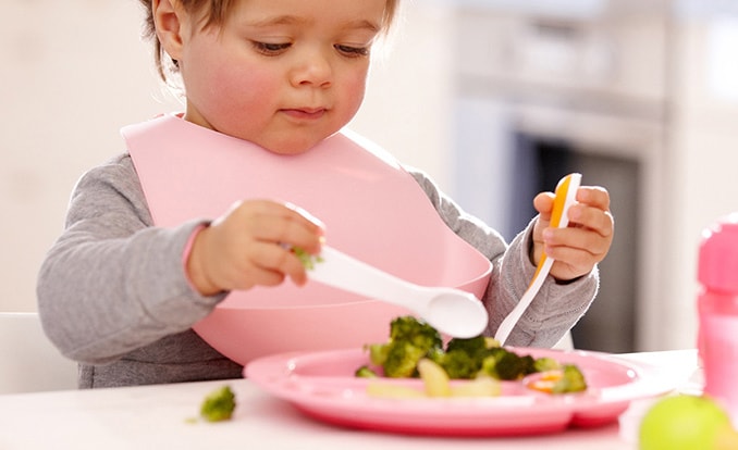 Toddler mealtime tips