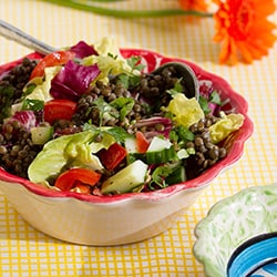 Lentil Salad | Philips